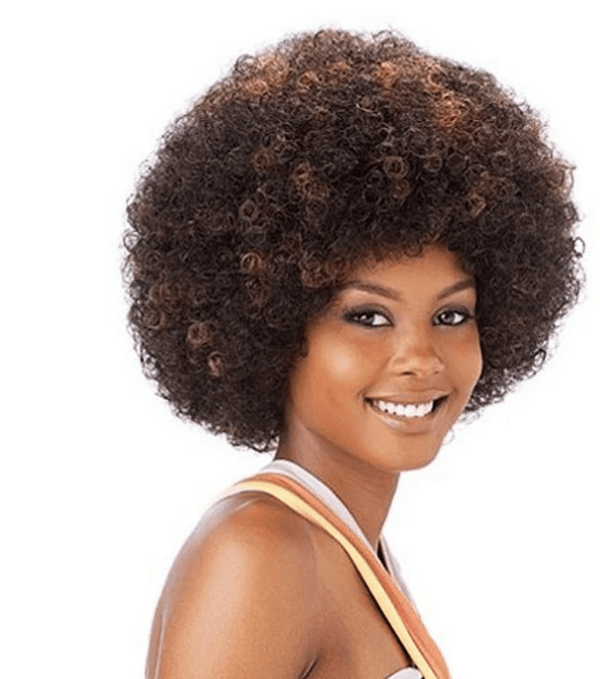 (2) - Freetress Equal Synthetic Wig - AFRO - Medium - 2. HUGE Saving