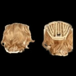Pallet # 161 -  Lot of  Hair - variety of styles and colors